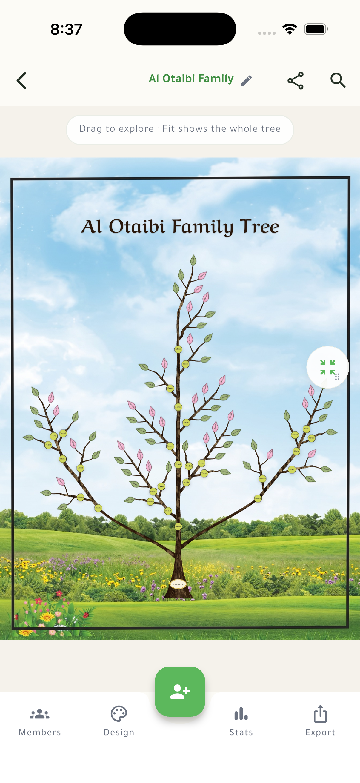 The 100-member Al Otaibi family tree with the Spring Meadow background in the app